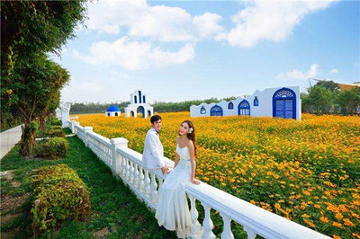3.0时代的花卉旅游 休闲观光活动的破局与重构